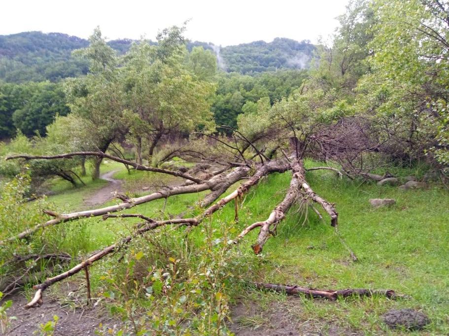 شقة Atico En Pleno Pirineo إل بويو دي جاكا المظهر الخارجي الصورة