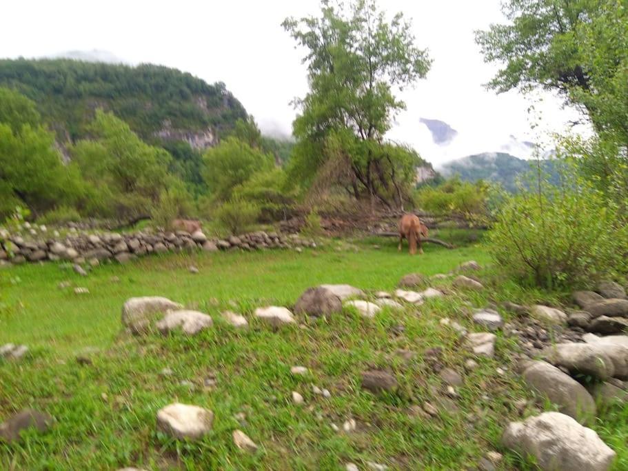 شقة Atico En Pleno Pirineo إل بويو دي جاكا المظهر الخارجي الصورة